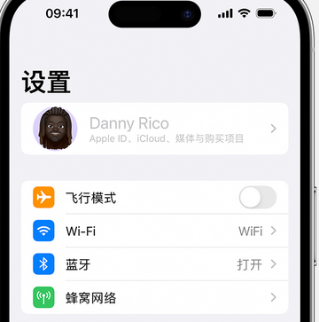 东兰appleID维修服务iPhone设置中Apple ID显示为灰色无法使用 