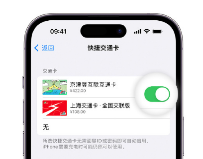 东兰apple维修点分享iPhone上更换Apple Pay快捷交通卡手绘卡面 