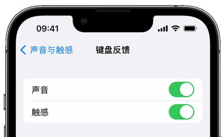 东兰苹果手机维修分享iPhone 14触感键盘使用方法 