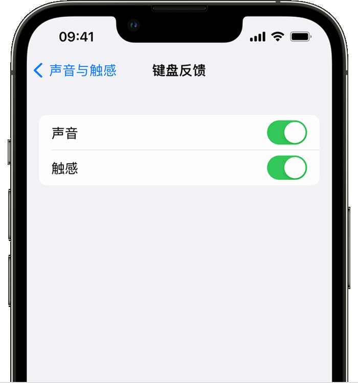 东兰苹果14维修店分享如何在 iPhone 14 机型中使用触感键盘 