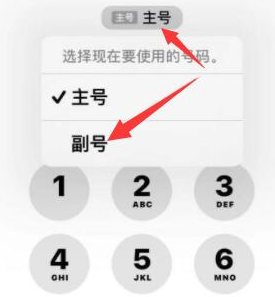 东兰苹果14维修店分享iPhone 14 Pro Max使用副卡打电话的方法 