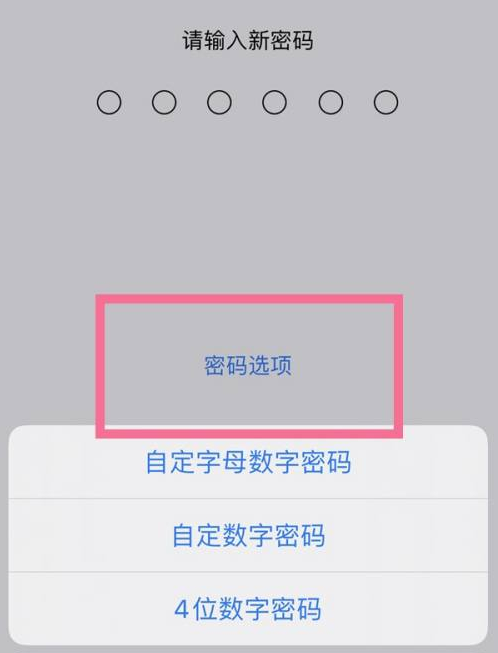 东兰苹果14维修分享iPhone 14plus设置密码的方法 