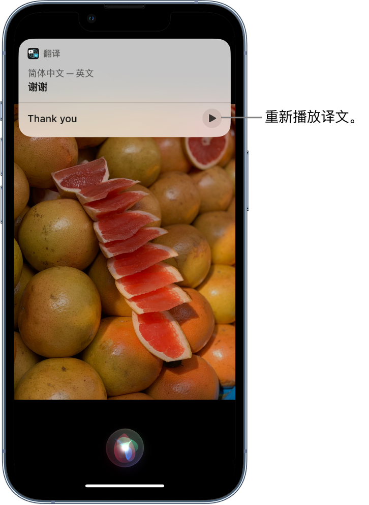 东兰苹果14维修分享 iPhone 14 机型中使用 Siri：了解 Siri 能帮你做什么 