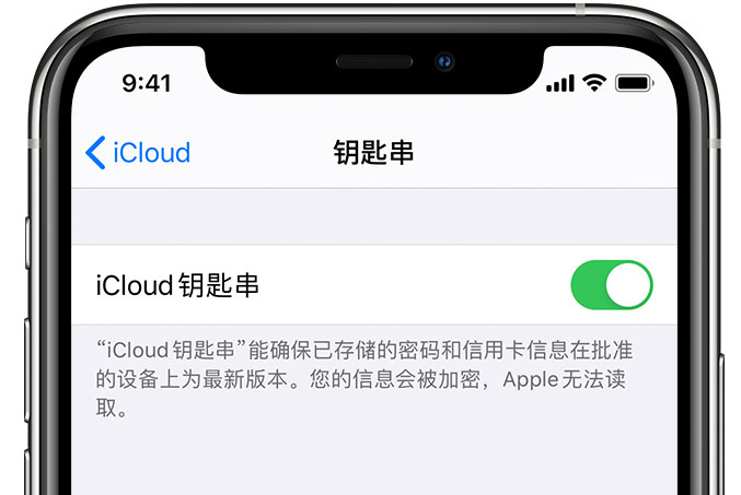 东兰苹果手机维修分享在 iPhone 上开启 iCloud 钥匙串之后会储存哪些信息 