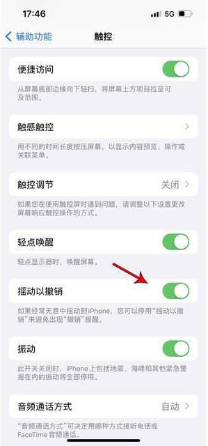 东兰苹果手机维修分享iPhone手机如何设置摇一摇删除文字 