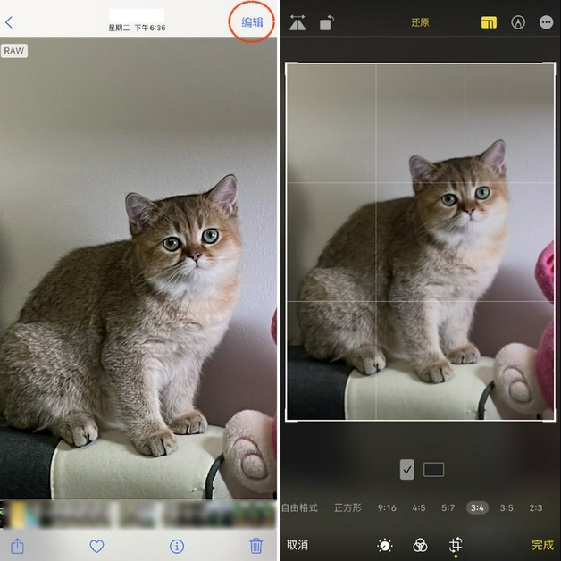 东兰苹果手机维修分享苹果 iPhone 12 Pro 拍照会过度锐化 