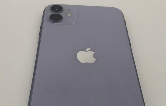 东兰苹果11系统维修分享iPhone11手机系统崩溃无法开机如何解决 